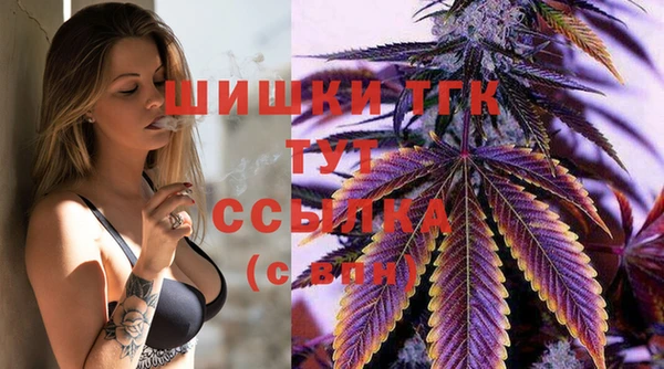 сатива Лагань