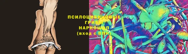 сатива Лагань