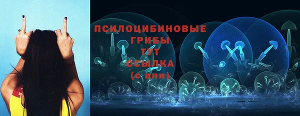 сатива Лагань