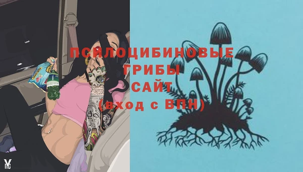 винт Лабытнанги
