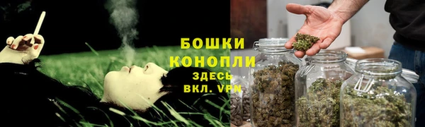 винт Лабытнанги