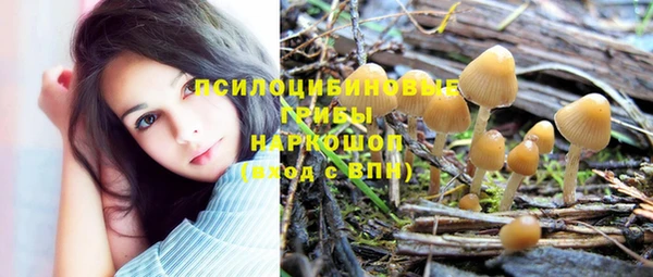 винт Лабытнанги