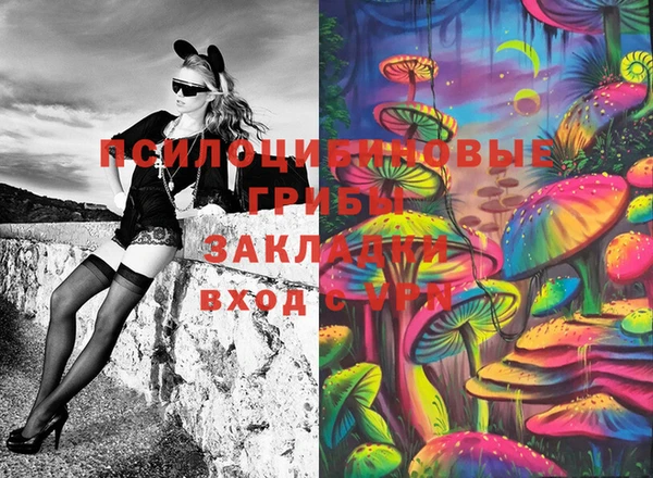 винт Лабытнанги