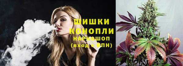 винт Лабытнанги