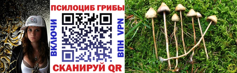 маркетплейс телеграм  где можно купить   Мариинский Посад  Галлюциногенные грибы мухоморы  мега маркетплейс 